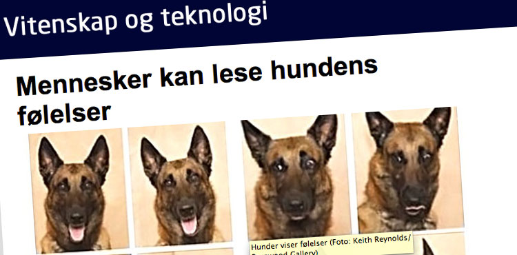 Faksimile fra NRK: Forskere har bevist at mennesker kan lese hundens følelser.