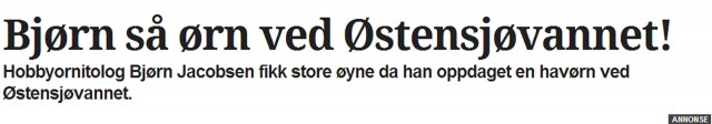 Bjørn så ørn ved Østensjøelva (skjermdump fra DittOslo).
