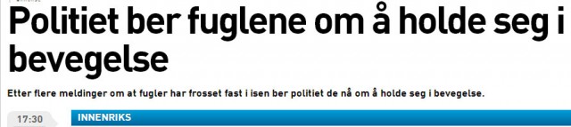 Politiet ber fuglene om å holde seg i bevegelse (skjermdump fra Fædrelandsvennen)
