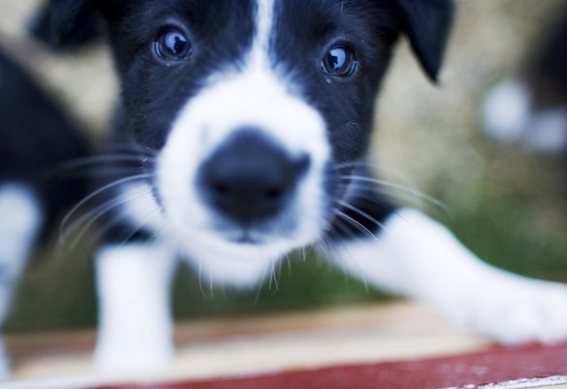 Foto: Kyrre Lien / SCANPIX