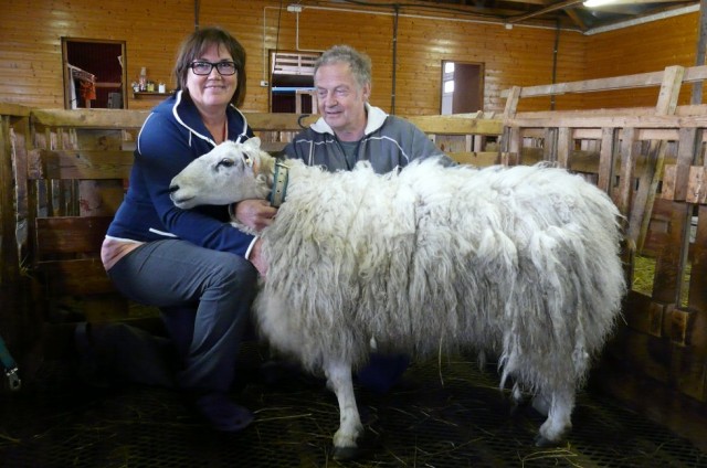 Væren Helmer og hans lykkelige eiere. Foto: Torry Eriksen / nordlys.no